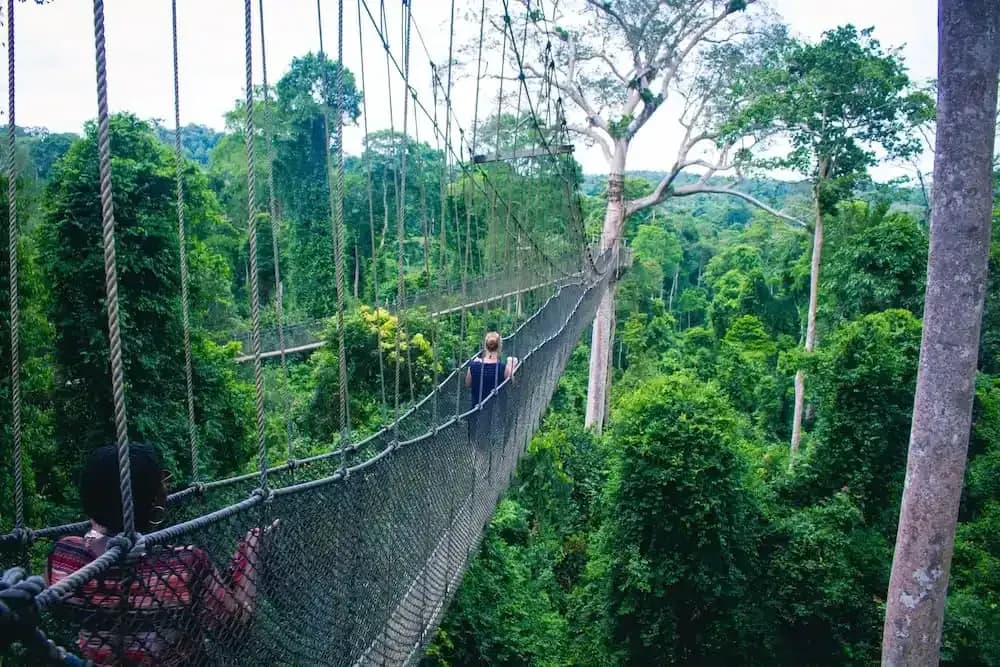 Kakum National Park Canopy Walk